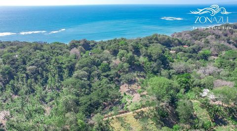 Discover the epitome of tranquility in this exquisite piece of land nestled in the enchanting region of Manzanillo. Boasting a generous size of 10,000 square meters, this property offers an unparalleled opportunity to create your dream oasis. Surroun...