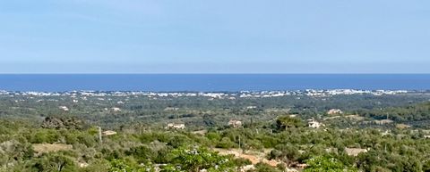 EXCLUSIVE Fantastic large finca with views and panoramic sea views. We have something fantastic to offer in this price region. Private Placement Properties - stands for advice on the purchase. We offer you access to all properties in Mallorca. Our cu...