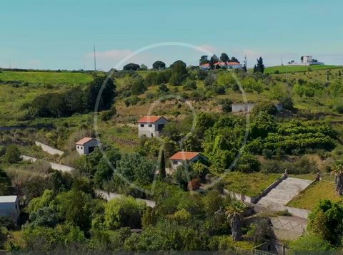 Estate in Alenquer with 13.8 hectares, consisting of 12 rustic articles, 2 urban, and several buildings to be restored. The Urban Plots: Article 2 has approximately 280sqm built, and the urban plot of the land (plot 3) is 600sqm, allowing constructio...