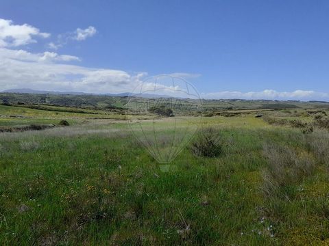 Description Rustic land with 7680m², for sale at 48000 EUR. The peace and beauty of all the surroundings make this land a true temple of communion with nature. Very close to Samarra beach and overlooking the palace of Pena, it is an ideal place for t...