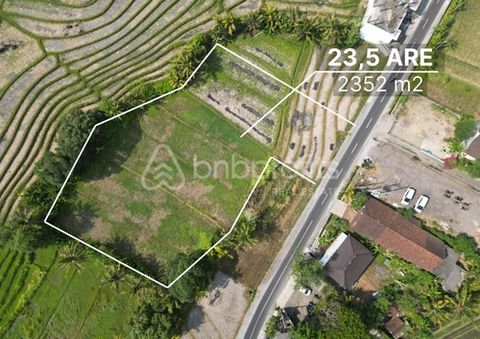 Expansive Leasehold Land Plot in Kedungu, Bali: Serene Ricefield Views, Close to Beaches – Prime Development Opportunity Price: IDR 4,995,000,000 untill 2049 IDR 8,500,000/are/year Step into a slice of paradise with this exceptional leasehold land of...
