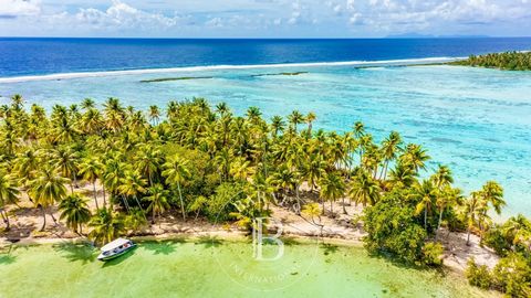 Paradisiaque - En face de Bora-Bora - Ilot à vendre en Polynésie française dans le Pacifique sud. Situé dans les mythiques Iles Sous-le-Vent de la Polynésie française, dans la barrière de corail du splendide lagon de Taha'a, le motu Rauoro est une îl...