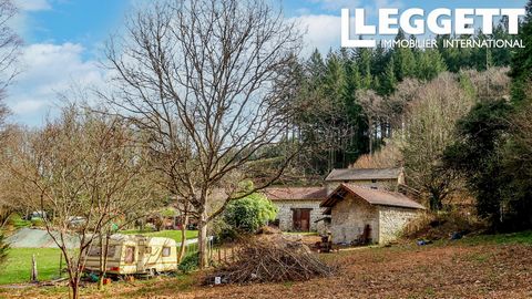 A12086 - A plot of land to fulfill your dreams in the middle of a Limousin forest. Information about risks to which this property is exposed is available on the Géorisques website : https:// ...