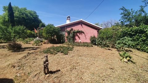 This pretty country house in Monda is a perfect retreat for those looking for a quiet lifestyle in a natural setting. The plot consists of over 1,000 m² fully fenced with a wide variety of fruit trees enjoying in addition to impressive views of the m...
