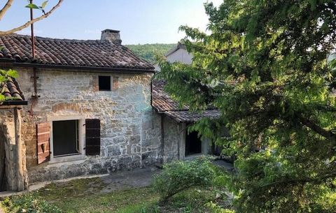 Wir verkaufen ein Haus in der Nähe von Motovun. Dieses kleine Steinhaus hat eine Fläche von 80 m2 mit einem Garten von 1620 m2. Ideal für alle, die absolute Ruhe im wunderschönen grünen Landesinneren Istriens suchen. Das Haus liegt in einer Reihe (mi...