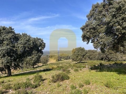 Located in the municipality of Idanha-a-Nova, Herdade da Lomba is a true rural refuge. This charming property offers a unique experience, combining the tranquility of country life with exciting opportunities for hunting and farming. Herdade da Lomba ...