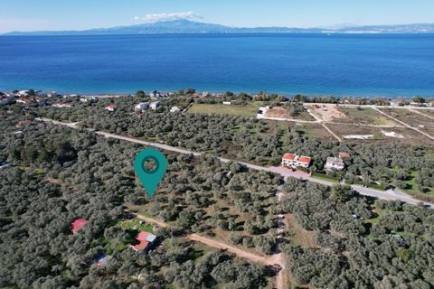Property Code. 11486 - Agricultural FOR SALE in Thasos Skala Sotiros for €100.000 . Discover the features of this 4100 sq. m. Agricultural: Distance from sea 330 meters, Distance from nearest village: 500 meters, Facade length: 81 meters, depth: 64 m...