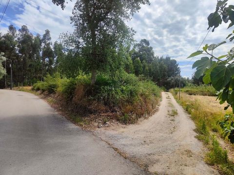 Urbanizable land on Rua Padre Agostinho in Bustos - Oliveira do Bairro with the following characteristics: Total area: 3,970 m2 Confrontations: to the North and East with private land, to the South with easement and to the West Rua Padre Agostinho Lo...