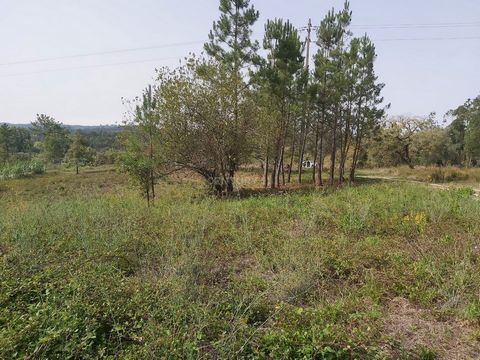 Located in Simões, a very quiet area. District of Coimbra, Municipality of Soure and parish of Soure. View of the green area, cultivated lands, olive groves, large forest next to the river Arunca. It is geographically located in a high area, where it...