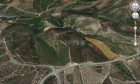 We present this plot of land with eucalyptus plantations, in a National Ecological Reserve area, in Aldeia do Mato and accessible by tarmac road. In total, it covers 11,840m2 and runs along an area of moderate relief, well away from the village cente...