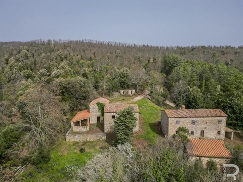 Nestled in a peaceful and unspoiled environment, we present this rustico in need of renovation, which has the potential to realize your dream of a peaceful life surrounded by nature. The rustico consists of a main building, three outbuildings and two...