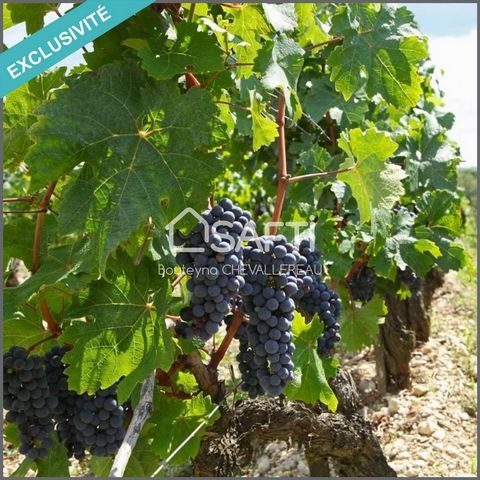 Nous vous proposons la vente de vignes sur la commune de St Yzans de Médoc. Un peu plus de 7,3ha de vignes plantées et entretenues en Appellation Médoc. Les informations sur les risques auxquels ce bien est exposé sont disponibles sur le site Géorisq...