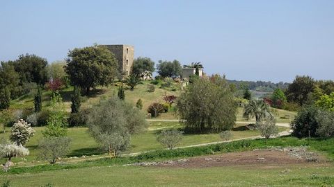 Dreamed with the ground. Between sea and mountain, a track which crosses a beautiful property of eight hectares on the hills of Costa verde. An olive grove, vines, donkeys, cows, hens, bees… a tower restored and arranged with sight with 360 degrees o...