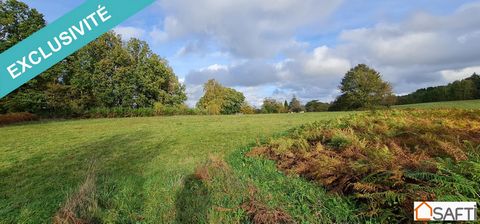 A few minutes from the center of Arnac-Pompadour this beautiful plot of land of 6400 m² is located at the end of a dead end. It is buildable over its entire surface and it is flat enough to be able to build a single storey. It will seduce you with it...