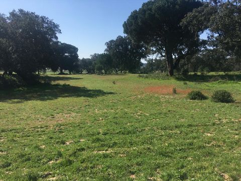 Dazzling property, with 294.000 sqm (29,4 ha) with excellent accessibility to Lisbon and with a predicted constructive capacity in the Municipal Director Plan of Palmela of around 7.500 sqm (soil implantation index). Located near Palmela, with access...