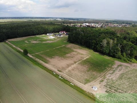 We invite you to familiarize yourself with the OFFER of a building plot located in Podańsko, Goleniów commune. The subject of the offer is a plot of land with an area of 3325 m2 located in a complex of building plots in a newly built housing estate, ...
