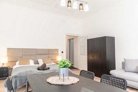 A spacious one-room apartment with its own kitchen and bathroom, close to the Wiener Stadthalle, Lugner City and the well-connected Westbahnhof train station. The apartment is located on the second floor and is a comfortable space that spans 33 squar...