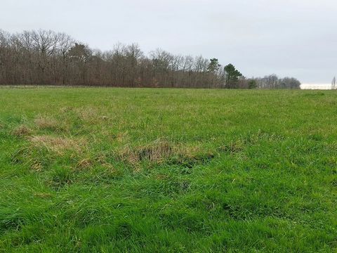 Plot of land 1997m² in the countryside and close to shops and town centre (Montendre 13km). No services on plot. Flat land without trees and in a peaceful location. It is possible to buy the neighboring land of 2098m² (ref: BVI73947). Price including...