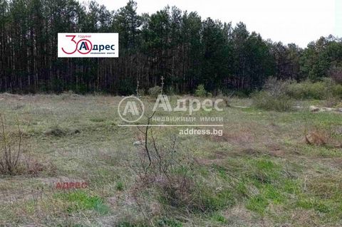 Excelente terreno en el pueblo de Shumen. Varna, zona de la Torre de Televisión. La parcela es llana de forma regular con una superficie de 600 m², situada junto a un bosque de pinos. Electricidad y agua en la frontera. La cara de la parcela es de 26...