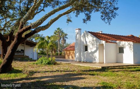 Welcome to this unique hideaway located in Sobreiras Altas – Melides. This property consists of two buildings, the main one has a floor area of 82 m2 consisting of suite (24 m2), bedroom (10 m2), bathroom (6 m2) and living room with 39 m2. The second...