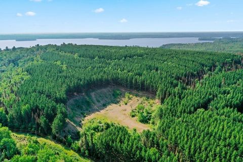 A place beyond the pines. Once in a lifetime investment. The most beautiful piece of land available in Northern Minnesota. This is not to be missed. Acquire for investment. Prime location in Ely, Minnesota. Offering unparalleled views of water and wo...
