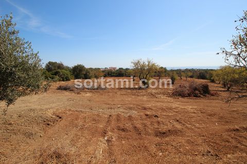 Rustic land with 8,354 m2. This magnificent land, has exceptional views of the sea and is located just minutes from the center of Albufeira with easy access. Albufeira is internationally recognized for its beaches, there are more than twenty beaches,...