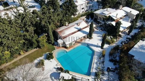 Im Herzen von Nea Erythraia gelegen, vereint diese einzigartige Villa absoluten Luxus und Ruhe in einem grünen Paradies von 3.100 m² und bietet absolute Privatsphäre. Umgeben von beeindruckenden Gärten mit exotischen Pflanzen, hohen Bäumen und einem ...