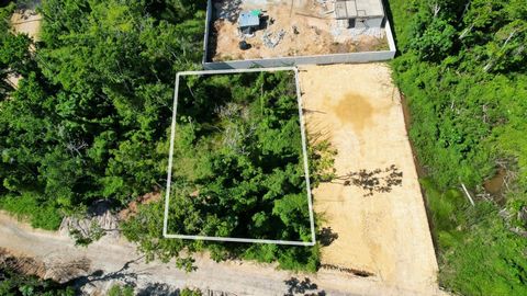 790 m² Plot in Las Terrenas – Ideal for Construction or Investment Discover this exclusive 790 m² plot in Las Terrenas , an excellent option for those looking to develop a real estate project or make a smart investment in one of the most desirable ar...