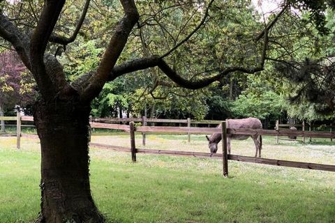 Twój gospodarz: Mamy sad wysokich jabłoni, uprawiany bez pestycydów i produkujemy cydr. Możliwość zwiedzania i degustacji. Parter: -Piękna przestrzeń z małą kuchnią (piekarnik, kuchenka mikrofalowa), - salon z jadalnią (telewizor), - część sypialna z...