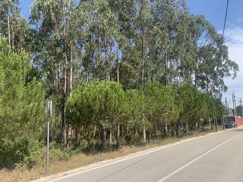 Grond met 0,7 bouwindex met een totale oppervlakte van 7 239m², in een industriegebied, gelegen in Sobreiro / Barosa, op enkele minuten van Leiria en Marinha Grande. Met uitzicht op de weg met ongeveer 55 meter. Haalbaarheid van het bouwen van indust...