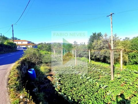 This plot of land, with an approximate area of 3400 square meters, is located in a construction zone in Vila Nova de Muía, a picturesque village situated near Ponte da Barca. Its strategic location provides easy access to all essential city services ...