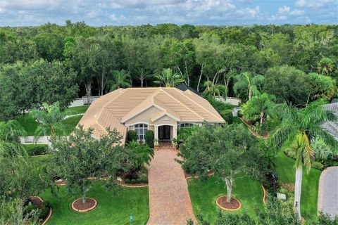 Stunning, one of a kind, Lucas Lagoons pool home as seen on season 2 episode 6 of Insane pools! Welcome to this exquisite 3,000+ square foot home that is sure to captivate you from the moment you step inside. Nestled on a half-acre fenced lot, this p...