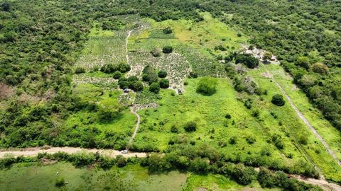 For sale RURAL LOT (farm called Flecha) Location Acera Oriental Camino Viejo (Carreteable that connects the sixth entrance and the Baranoa - Polonuevo road) 2.5 km from the sixth entrance. Rural Land / Industrial Use Municipality of Baranoa - Atlánti...