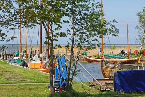 Estas casas flotantes se encuentran en una parte separada del puerto deportivo de Barth. Vives muy cerca de la naturaleza, desde el piso superior tienes una vista maravillosa sobre la laguna; Al mismo tiempo, el casco antiguo y el puerto de la ciudad...