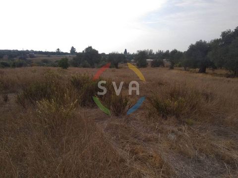 For sale, Land Area, in Erimi. The Land Area is , the building factor is 90 and the coverage ratio is 50%, in Residential. Price: €185.000. SVA Estates