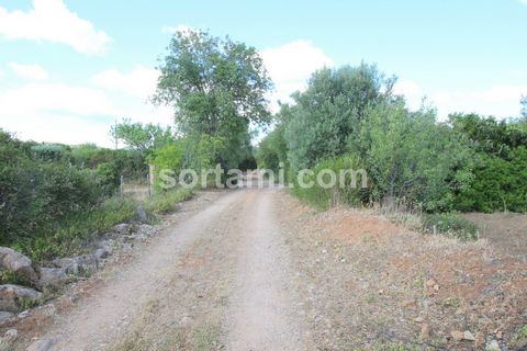 Excellent opportunity, this land is located near one of the main arteries in the direction to the city of Loulé. With about 6000 m2 and a ruin, has the possibility of building a detached villa with two floors of about 300m2. It has electricity and sa...