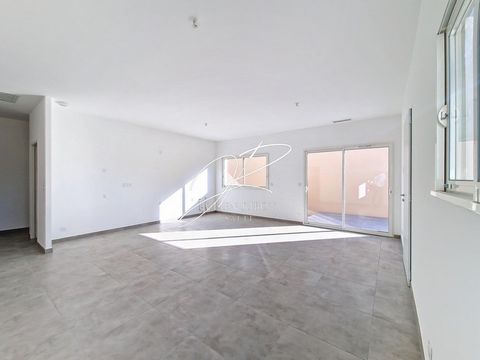 photo no. 2