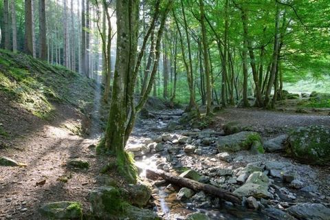 Cosy and swinging Discover our Comet tents, glamping tents located in our campsite, in the heart of the Belgian Ardennes. Enjoy a getaway at ArdenParks Petite Suisse for a weekend, a family holiday, a holiday with friends or a romantic getaway. Our C...