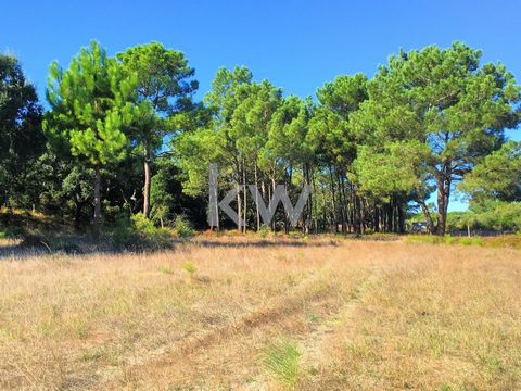 Land for sale in Palmela, Quinta dos Pomares, with a total area of 33,198 m2, partly fenced, has already been approved by the City Council for the construction of a residential property, using the already existing structure of 147 sq.m.Part of the la...