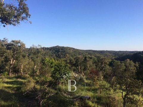 Plot of land with an approved project to build a 234m2 villa with 3 en-suite bedrooms and a swimming pool, in Santa Margarida da Serra, Grândola, next to Melides. The property has several trees typical of the region, such as pines and cork oaks, with...