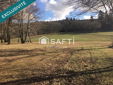 I invite you to discover this plot of land overlooking the Creuse countryside in the commune of St Sulpice le Dunois. Easy access to the RN145. Planning permission has been granted for the construction of a house and swimming pool. Water and electric...