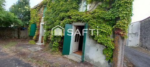 photo no. 1