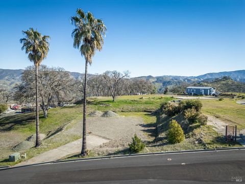 Incredible Opportunity at Lake Berryessa! Two Lots Available! Looking to build your dream home or invest in prime land near Lake Berryessa? The seller is offering two exceptional lots in the Berryessa Highlands community of Napabuy one or both! 1100 ...