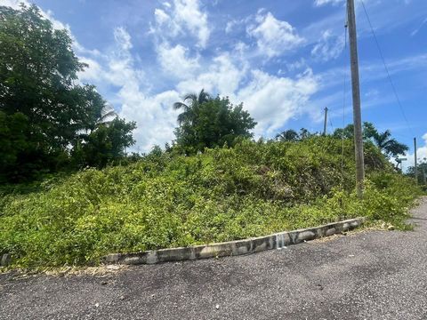 Lot 11 perched on a hill in this new development surrounded by palm trees and greenery, yet only 45mins from Kingston. Perfect for your new home.