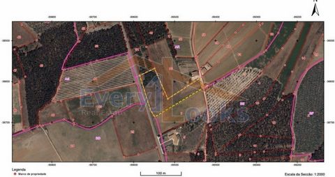 Uitstekend land, vlak, met 6.920m2, naast de weg. Het land, hoewel rustiek, de bouw van een eenheid voor lokale accommodatie. L-vormig land, hoewel het rustiek is, maakt het, volgens de veranderingen van de gemeente Peniche, mogelijk om een gebouw vo...