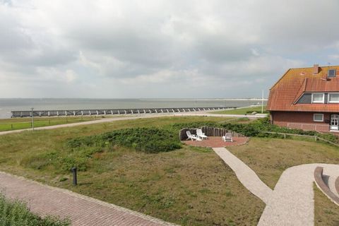 Non potrebbe essere più marittimo di così, questo piccolo appartamento per vacanze si trova proprio sulla punta occidentale di Baltrum. Sperimenta il flusso e riflusso. Puro relax!