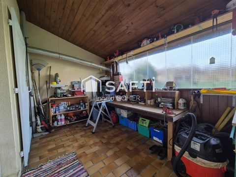 photo no. 8
