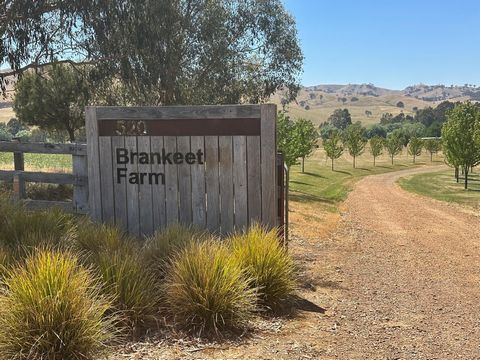 The “Black Shack” at Brankeet Farm is a unique and beautiful property located in the rolling hills of the secluded and breathtaking Ancona Valley. Just a 2 hour drive from Melbourne, a 25 minute drive from Mansfield, a 13 minute drive to Bonnie Doon ...