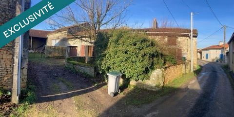 photo no. 1