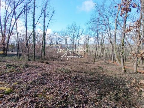 Dans un secteur très recherché, venez vous offrir un terrain constructibe borné et boisé dans un quartier très calme, avec une belle vue ! À côté de tous les commerces et écoles, à Roquefort, à 5 minutes du Passage d'Agen. L'étude G1 a été effectuée ...